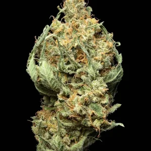 Hazy Laotian
