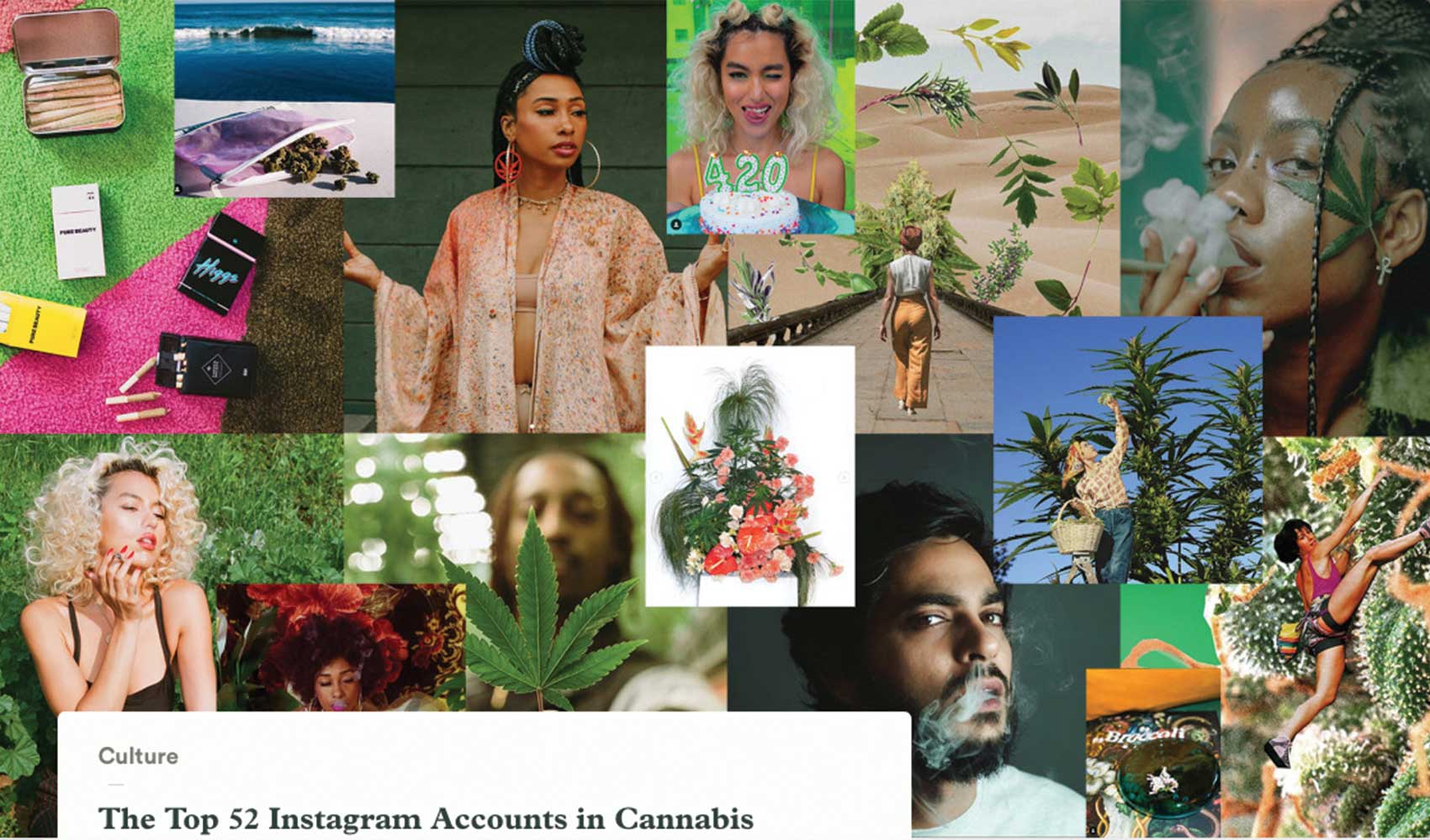 The Top 52 Instagram Accounts in Cannabis