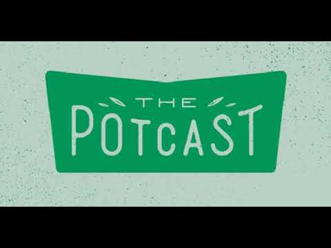 The Pot Cast John Bayes of Green Bodhi Genetics